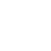 icon autoreparaturen weiß